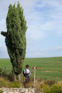 via Francigena