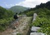 via Francigena