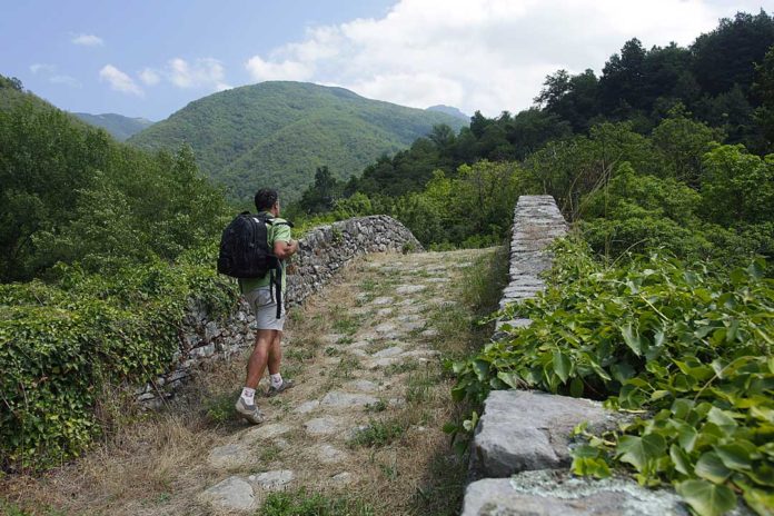 00021-via Francigena via Francigena