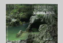 Sui sentieri di Kugy alla ricerca della Scabiosa Trenta Slovenia, dal Lago di Bohinj al Triglav - Sui sentieri di Kugy alla ricerca della Scabiosa Trenta. Testo e foto di Alberto Campanile - Itinerari e Luoghi 282 luglio 2020