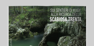 Slovenia, dal Lago di Bohinj al Triglav - Sui sentieri di Kugy alla ricerca della Scabiosa Trenta. Testo e foto di Alberto Campanile - Itinerari e Luoghi 282 luglio 2020