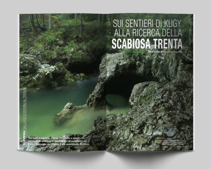 Slovenia, dal Lago di Bohinj al Triglav - Sui sentieri di Kugy alla ricerca della Scabiosa Trenta. Testo e foto di Alberto Campanile - Itinerari e Luoghi 282 luglio 2020