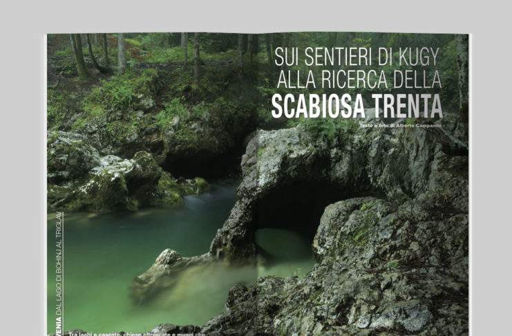 Slovenia, dal Lago di Bohinj al Triglav - Sui sentieri di Kugy alla ricerca della Scabiosa Trenta. Testo e foto di Alberto Campanile - Itinerari e Luoghi 282 luglio 2020