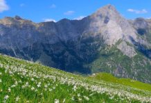 Le montagne sul mare