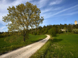 ROCCA DELLE CAMINATE