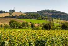 Le Torri, Salto del Cervo, San Rabano, Cannelle, Collelungo