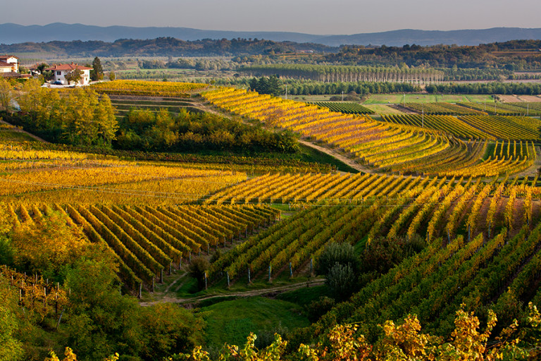 Collio, un week end tra i colori e i sapori dell’autunno