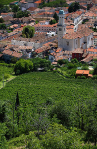 itinerari nel collio tra i colori e sapori dell’autunno