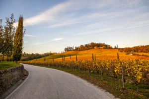 itinerari nel collio tra i colori e sapori dell’autunno