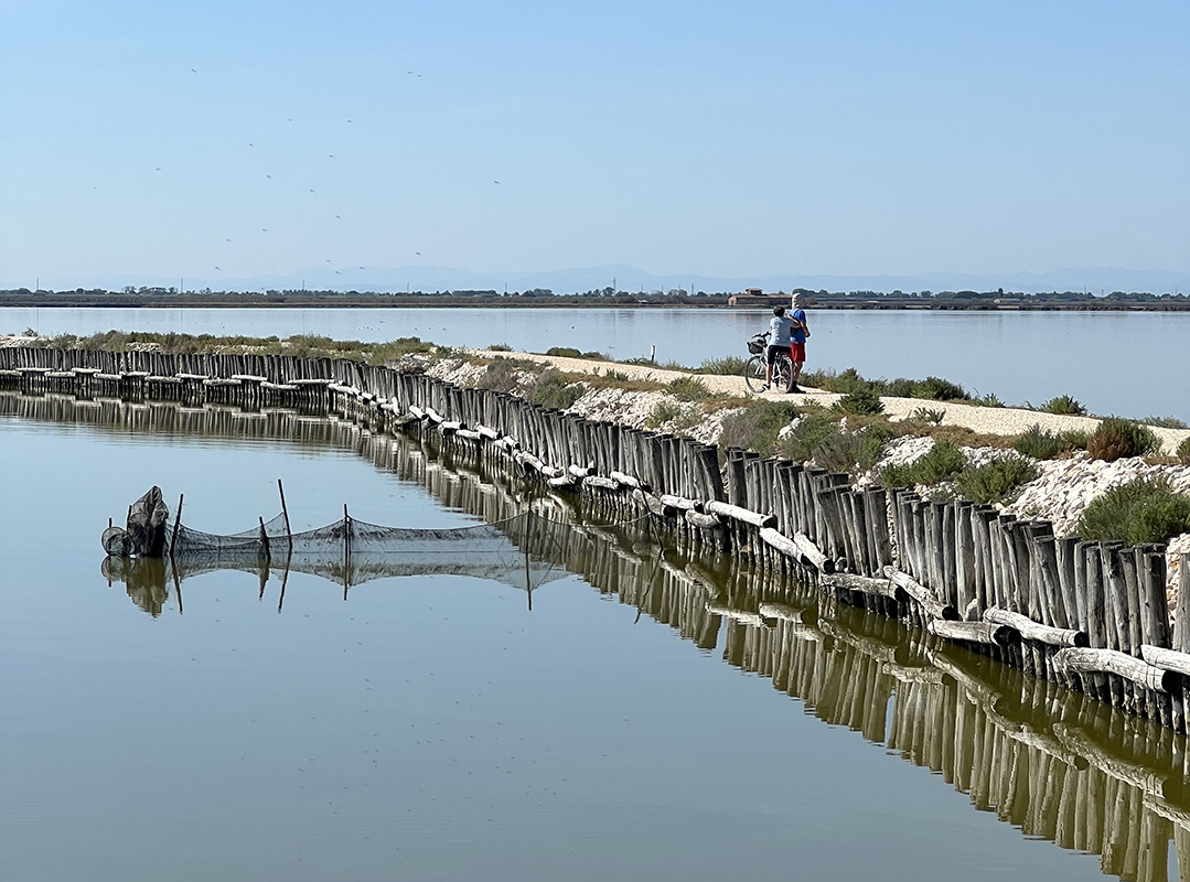 IN BICICLETTA NEL PARCO DELTA DEL PO - L’ARGINE DEGLI ANGELI