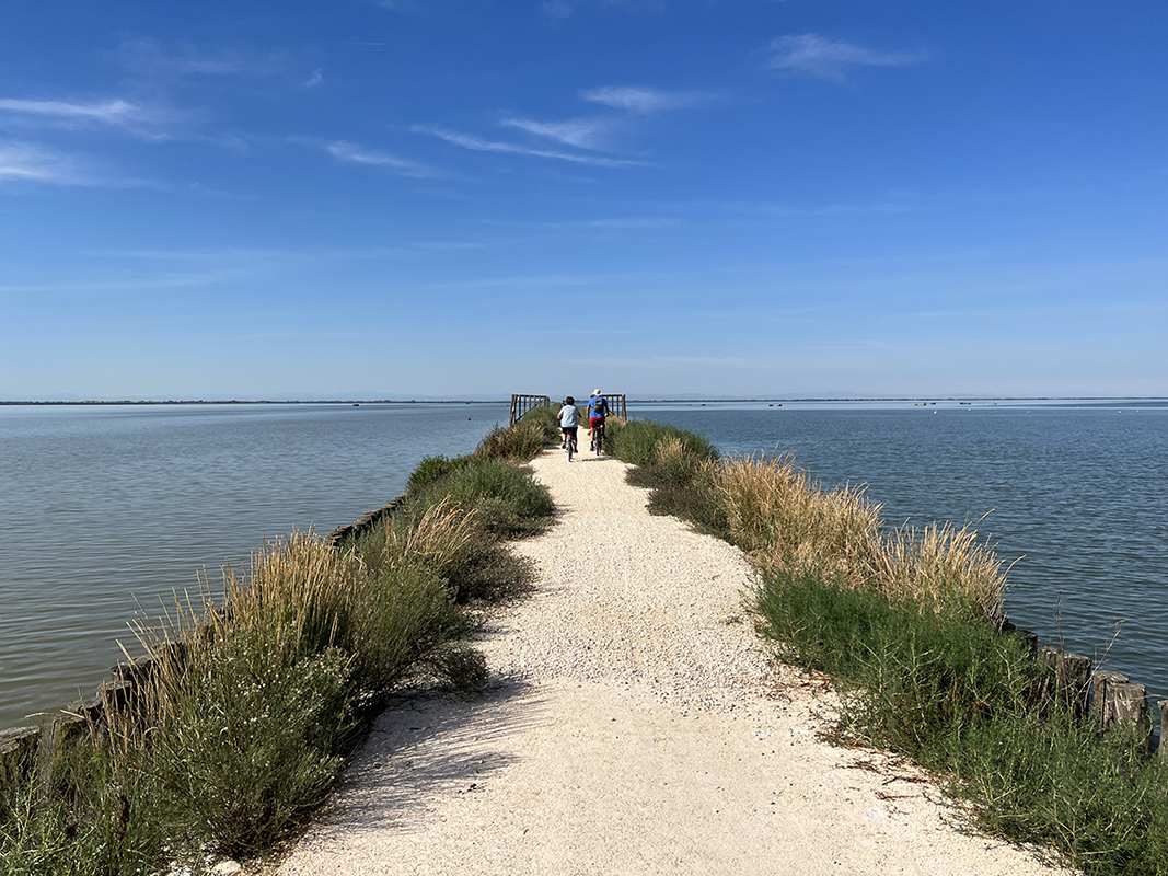 IN BICICLETTA NEL PARCO DELTA DEL PO - L’ARGINE DEGLI ANGELI