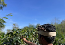 MUNDUK MODING PLANTATION MUNDUK MODING PLANTATION