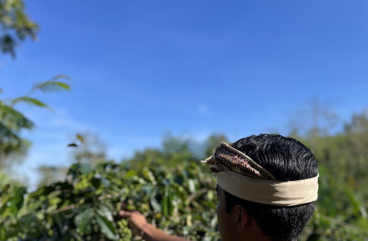 MUNDUK MODING PLANTATION