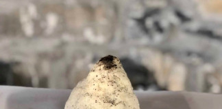 “INTELVI CASEUS” l’arte dei formaggi della Valle Intelvi