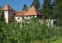 POMARIA ritorna  a Cles dal 13 al 15 ottobre 2023