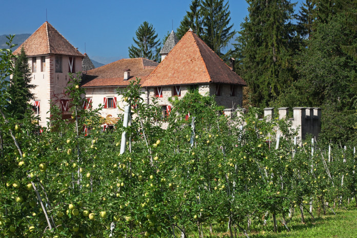 val di non castello con mele