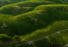 Un weekend tra colline e spumante Valdobbiadene DOCG, tra casoni di laguna e buon pesce