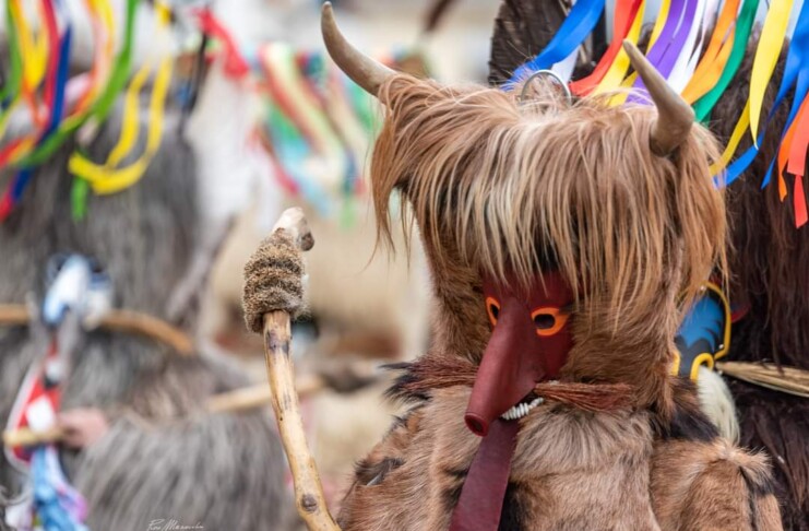 Isernia, carnevale maschere zoomorfe_Molise (1)