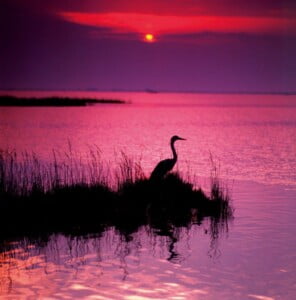 Lignano Sabbiadoro, Nei Colori del Tramonto - Tramonto sulla Laguna_credits arch. PTFVG