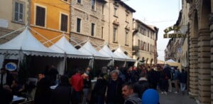 Fossombrone, festival del tartufo Bianchetto e del Bianchello