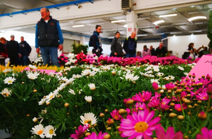 Fiera di Vita in Campagna 2023, Padiglione orto giardino aromatiche officinali