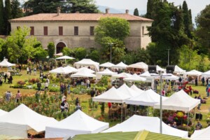 Brescia_Franciacorta in Fiore