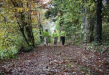 Camminando: esperienze, sensazioni, emozioni per vivere la Valbelluna Festival Camminando