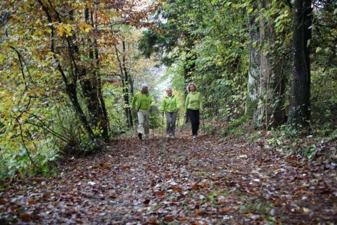 Festival Camminando (4) Festival Camminando