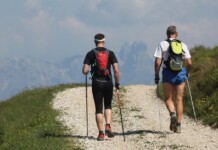 Camminando Festival 2026, il viaggio lento della Valbelluna Festival Camminando_sentiero malga Canidi