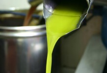 Sapori e Aromi d’Autunno: il gusto delle Marche Olio Cartoceto, Marche_Ph. Marco Giovenco