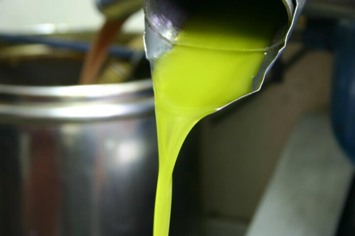 Olio Cartoceto, Marche_Ph. Marco Giovenco