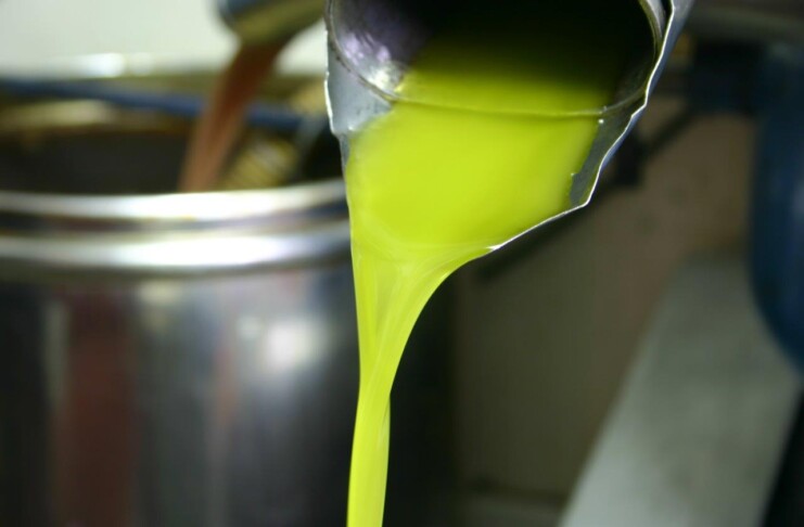 Olio Cartoceto, Marche_Ph. Marco Giovenco