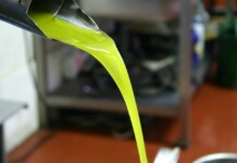 Dalle Marche alla Puglia, viaggio nell’olio: torna il Gran Galà Olio Cartoceto, Marche_Ph. Marco Giovenco