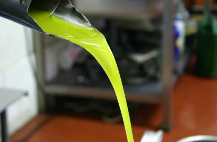 Olio Cartoceto, Marche_Ph. Marco Giovenco