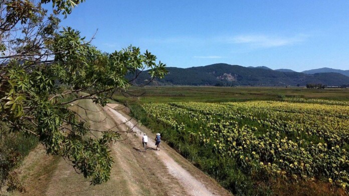 02_OscarItalianoCicloturismo2023_PrimoPosto_TOSCANA_Ciclopedonale_Puccini_17