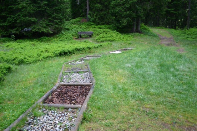 Bagno nel bosco Valle Aurina, percorso benessere_ph. Marco Giovenco