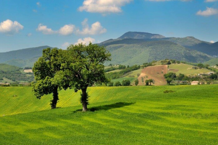 Strada_del_Miele_di_Macerata_Paesaggio_marchigiano