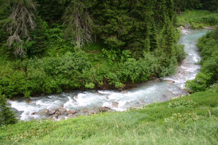 Valle Aurina, bagno nel bosco_ph. Marco Giovenco (3) Valle Aurina, bagno nel bosco_ph. Marco Giovenco
