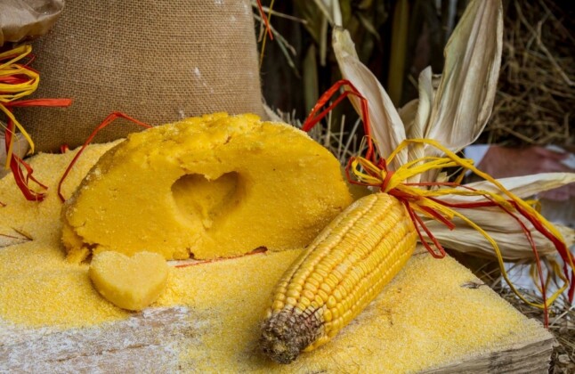 Sutrio_Farine di Flor