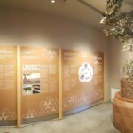 Acqualagna, museo del tartufo. ph. Marco Giovenco