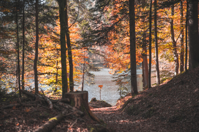herbst_hechtsee_kufsteinerland_copyright_vanmey_photography (10) herbst_hechtsee_kufsteinerland_copyright_vanmey_photography