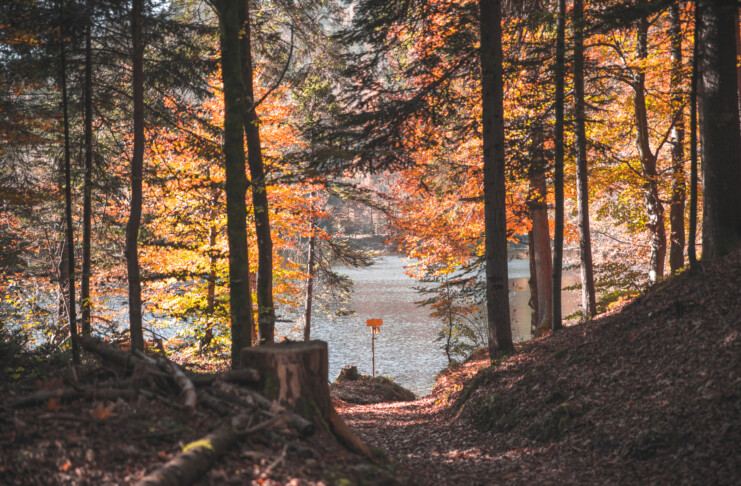 herbst_hechtsee_kufsteinerland_copyright_vanmey_photography