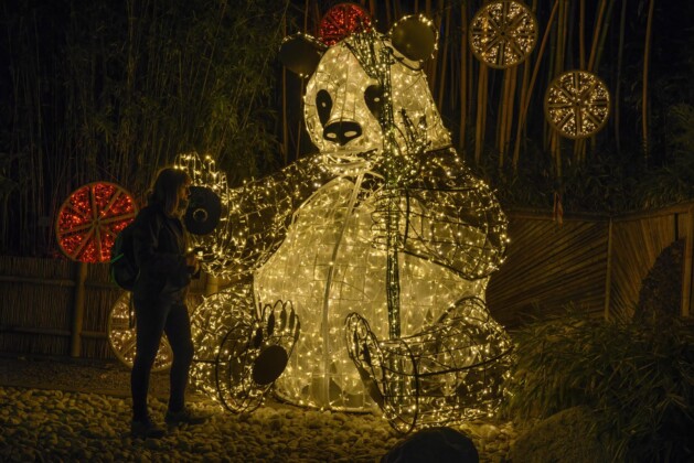 lumagica nei giardini di trauttmansdorff a merano per la prima volta phv giannella