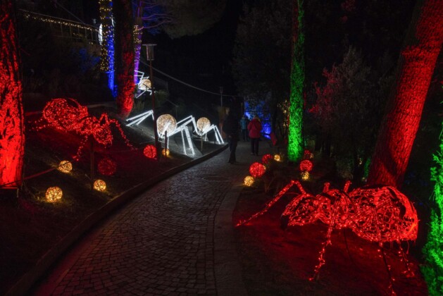 formiche giganti illuminano i viali di trauttmansdorff phv giannella