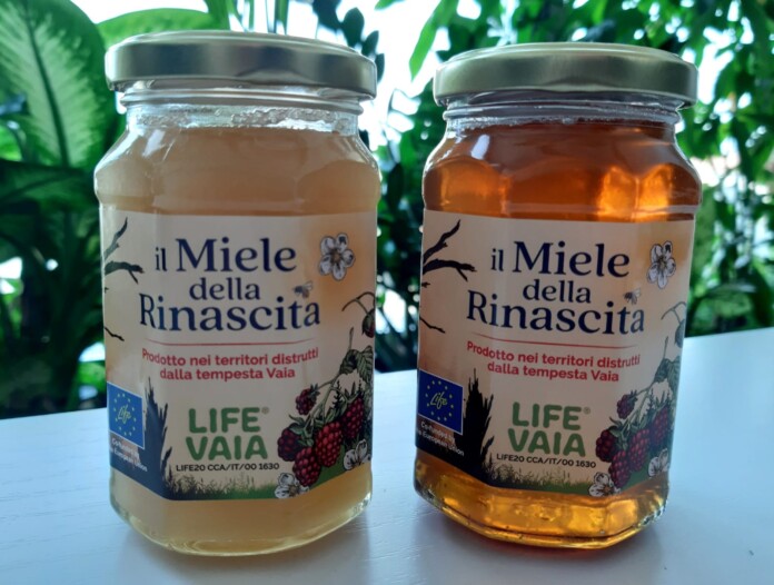 Miele della Rinascita Life Vaia Miele della Rinascita Life Vaia