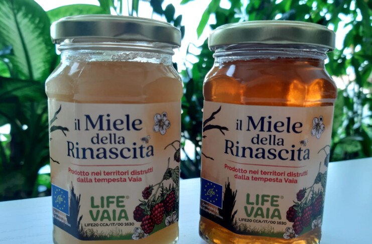 Miele della Rinascita Life Vaia