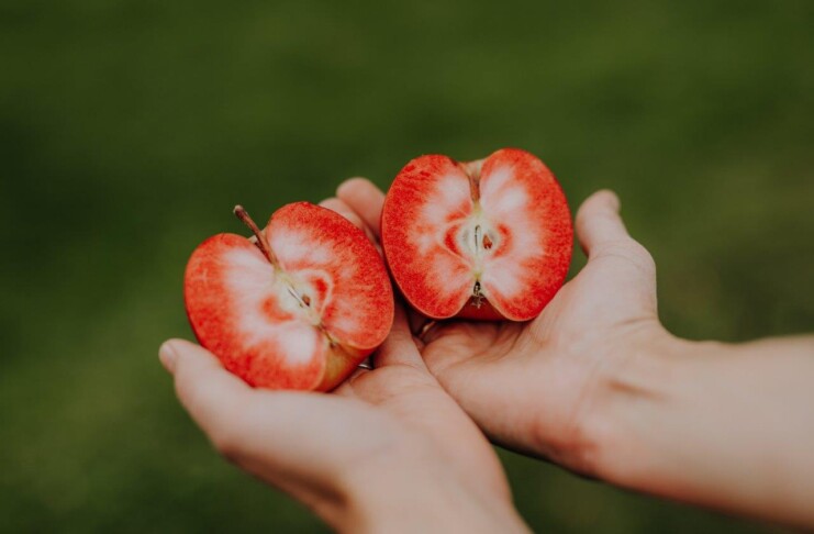 Mele di Lana_Alto Adige, ph. Maike Wittreck