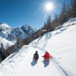 TVBStubaiTirol_AndreSchoenherr_Tobogganing