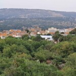 Osidda