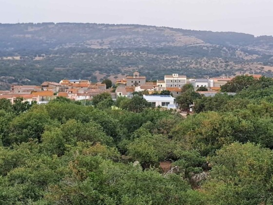 Osidda
